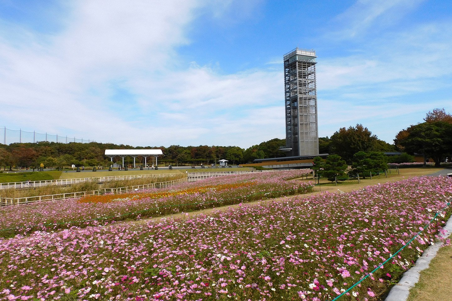 🌳 하마나코 가든 파크 (하마나코 가덴 파쿠) 이미지 4